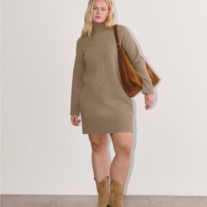 Everlane Tan Turtleneck Sweater Dress